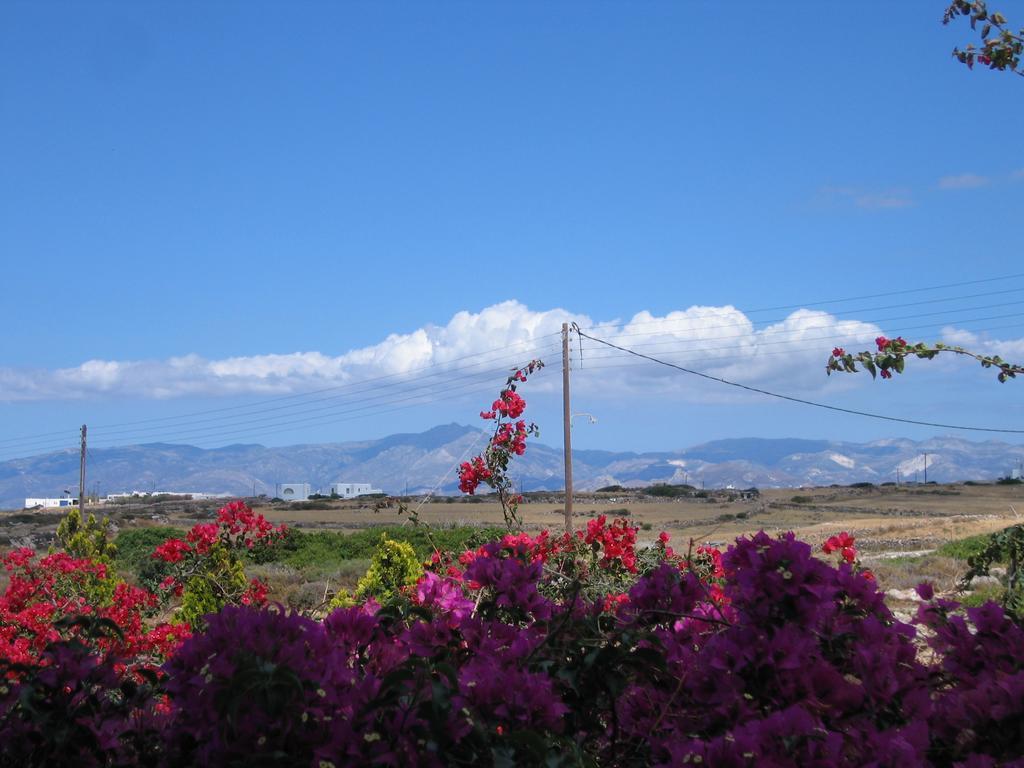 Aella Residence Zambujeira do Mar Oda fotoğraf